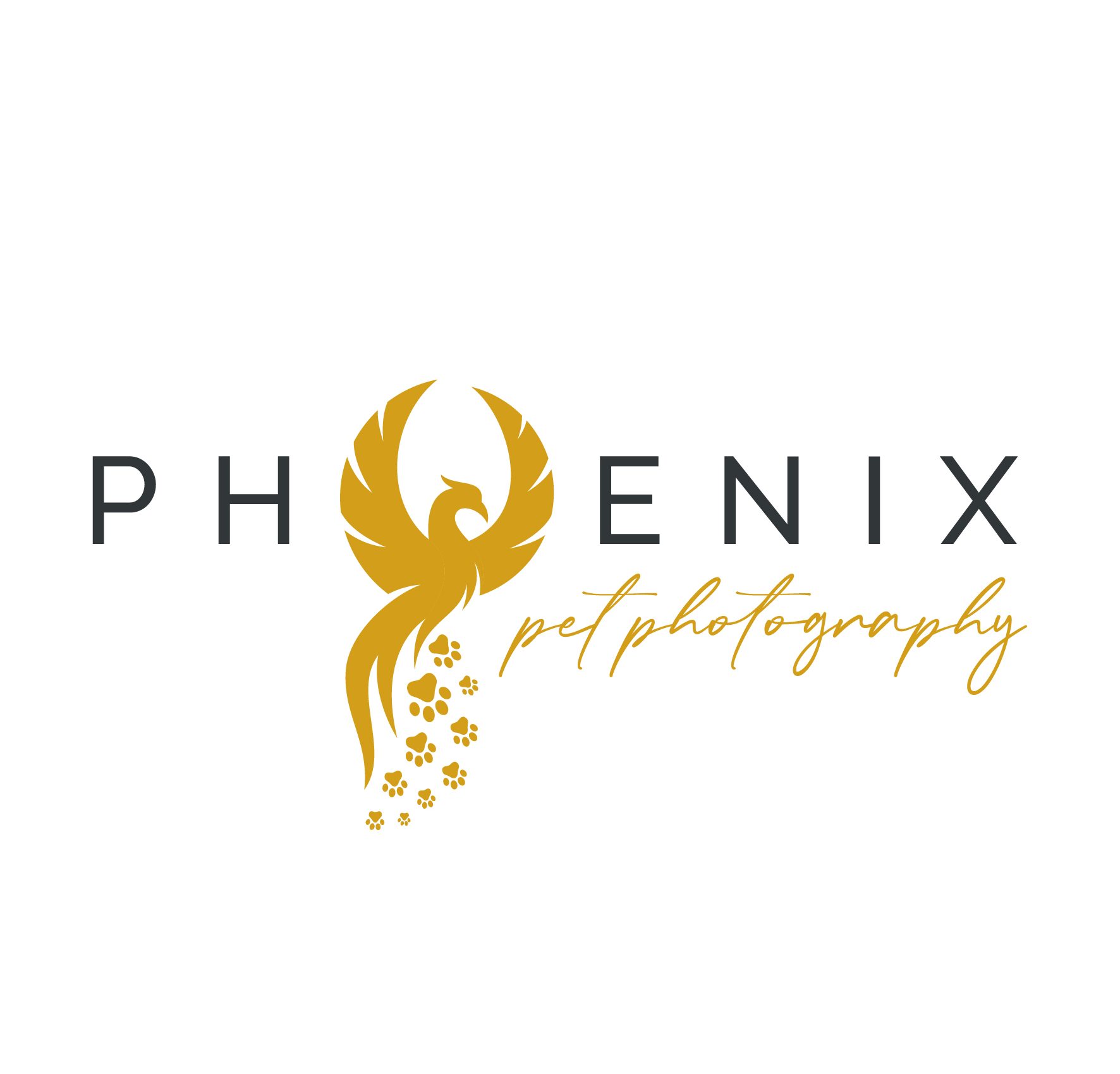 Phoenix Pet Photography